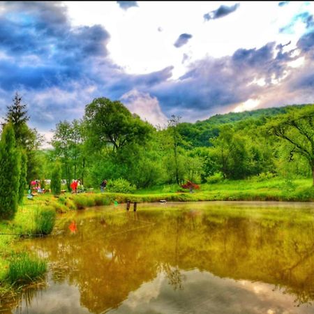 Pensiunea Cerbul - Valea Dobarlaului Extérieur photo