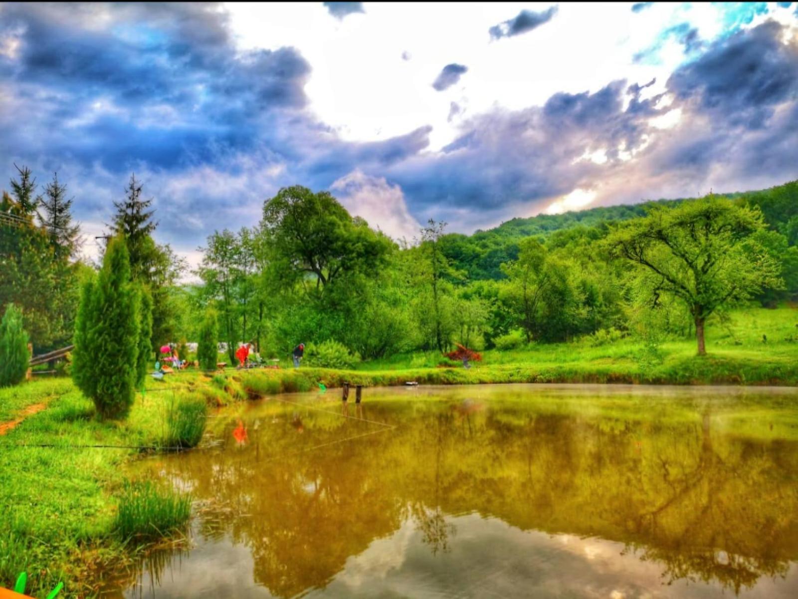 Pensiunea Cerbul - Valea Dobarlaului Extérieur photo