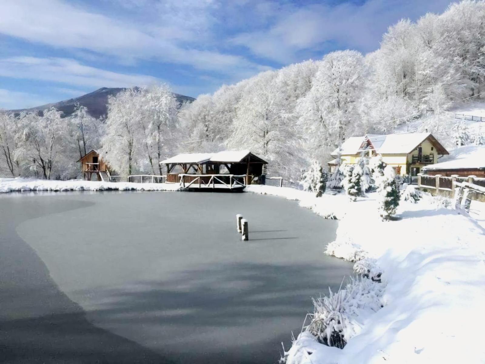 Pensiunea Cerbul - Valea Dobarlaului Extérieur photo
