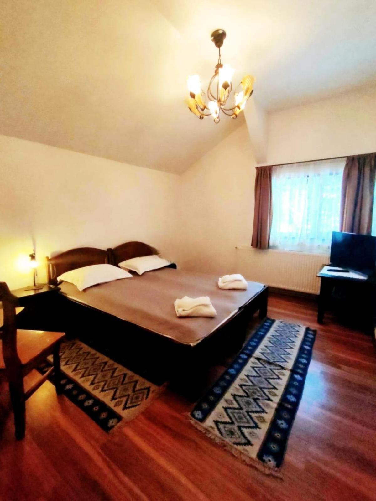 Pensiunea Cerbul - Valea Dobarlaului Extérieur photo