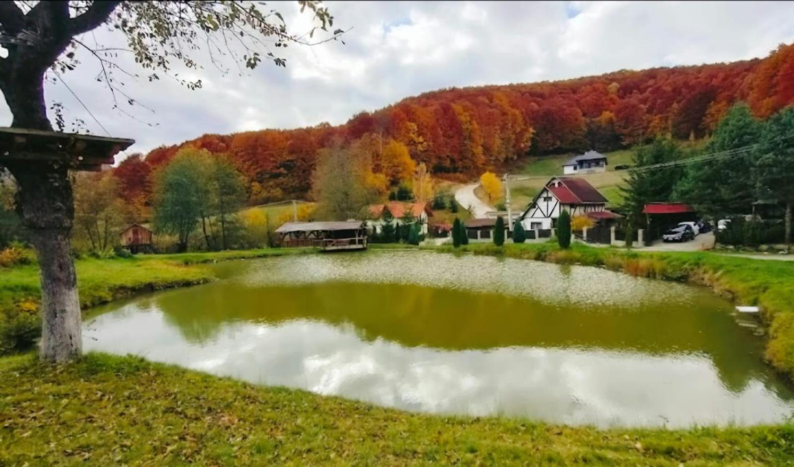 Pensiunea Cerbul - Valea Dobarlaului Extérieur photo