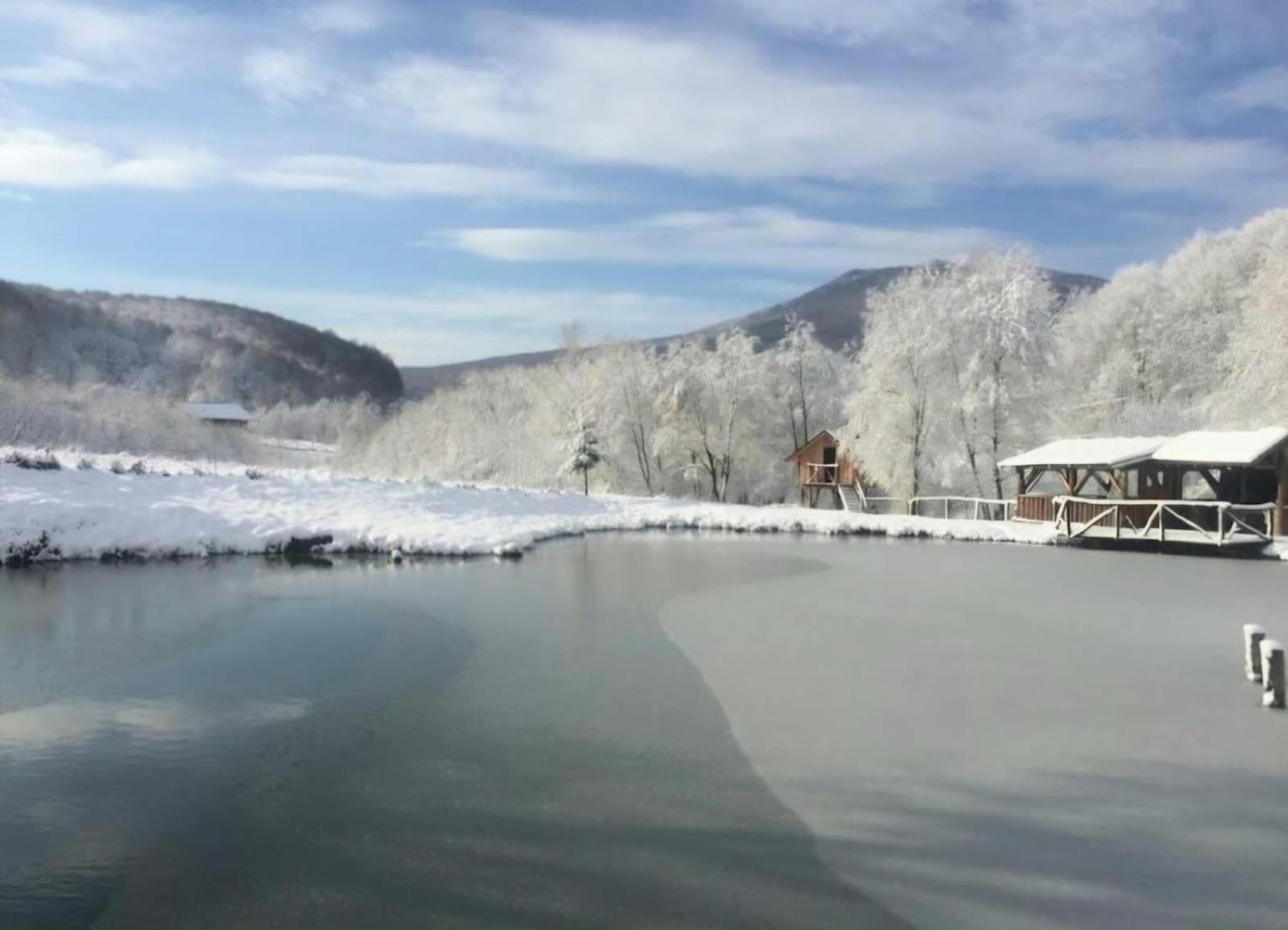 Pensiunea Cerbul - Valea Dobarlaului Extérieur photo
