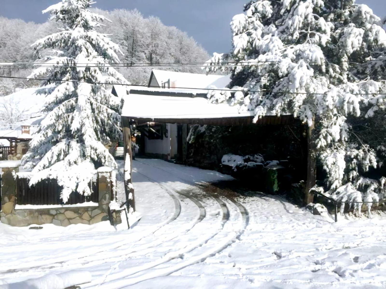 Pensiunea Cerbul - Valea Dobarlaului Extérieur photo